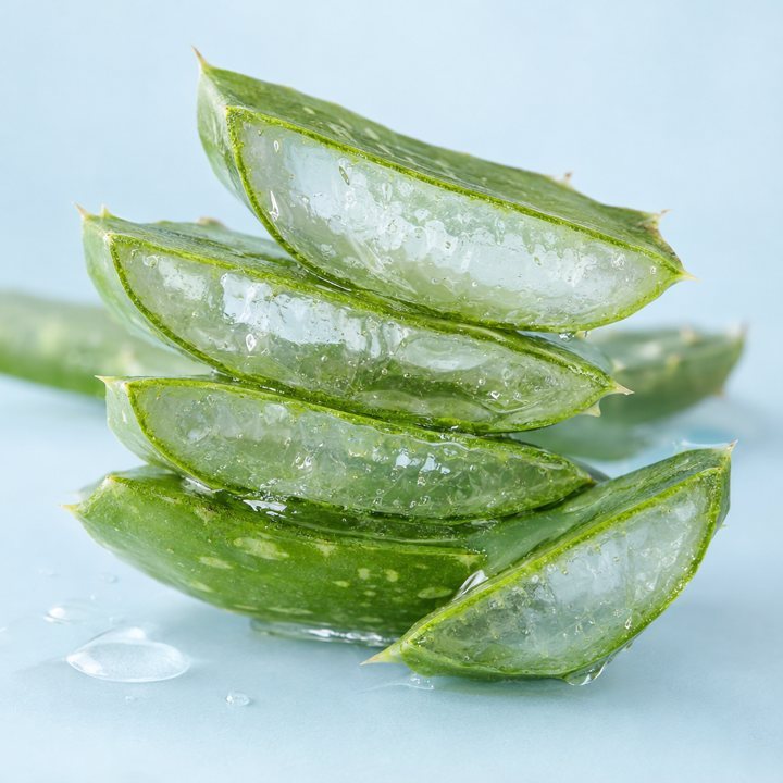Aloe vera